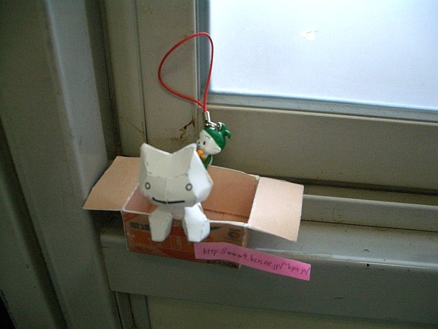 Today's Photo