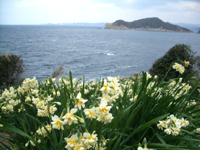 Today's Photo