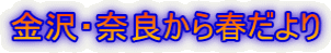 ����E�ޗǂ���t����� 