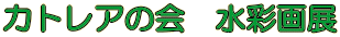 �J�g���A�̉�@���ʉ�W
