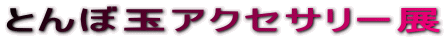 �Ƃ�ڋʃA�N�Z�T���[�W

