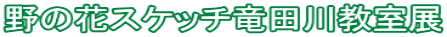 ��̉ԃX�P�b�`���c�싳���W
