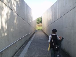��L