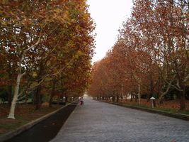 �g�t ���̂R
