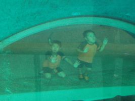 �g���l������