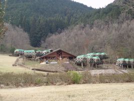 �L�����v��