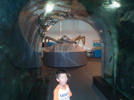 �C�V����