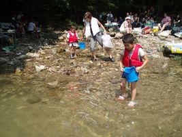 ������