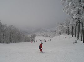 �Q�����f