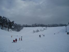 �Q�����f�x�[�X