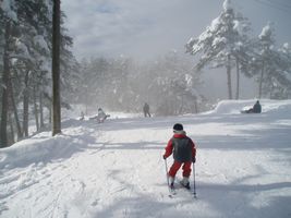 �Q�����f