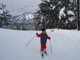 �Q�����f����