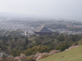 ���厛