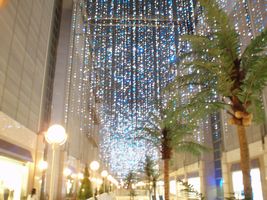 �L���i���K�[�f��