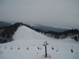 �Q�����f
