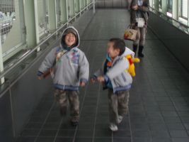 �W�H����