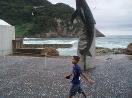 �C���J�E�A�V�J�V���[ ��