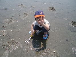 �L