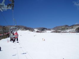 �R���f�B�V����