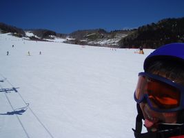 �S�[�O��