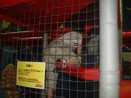�W�����O���W�������h1