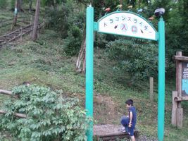 �h���S���X���C�_�[�����
