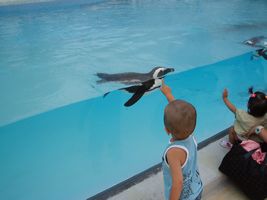 �y���M��
