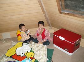 �L���r������