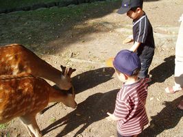 ������ׂ�
