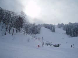 �Q�����f