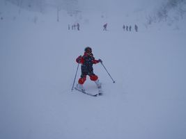 �Q�����f�f�r���[