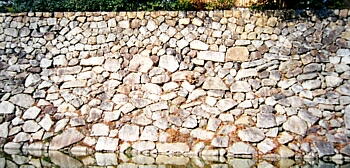 ςݒΊ_