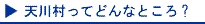 �V�쑺���Ăǂ�ȂƂ���H