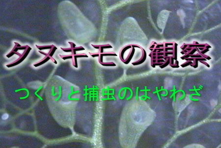 摜NbNĂ