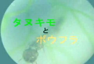 摜NbNĂ