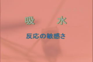 摜NbNĂ
