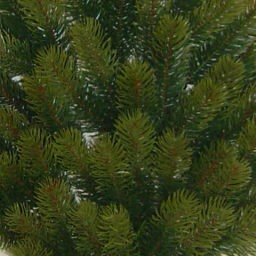 モミの木　ＲＳ　ＧＬＯＢＡＬ　ＴＲＡＤＥ社　壁掛式　クリスマスツリー拡大