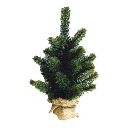 モミの木　ＲＳ　ＧＬＯＢＡＬ　ＴＲＡＤＥ社　卓上クリスマスツリー