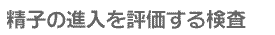 ǂ̒ʉߐ]錟