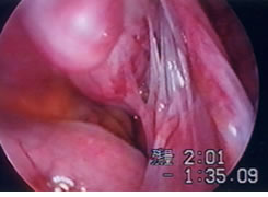 photo1