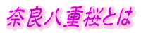 �ޗǔ��d���Ƃ� 