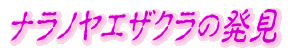 �i���m���G�U�N���̔���