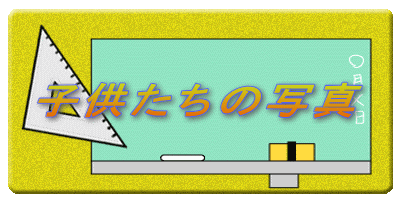 q̎ʐ^